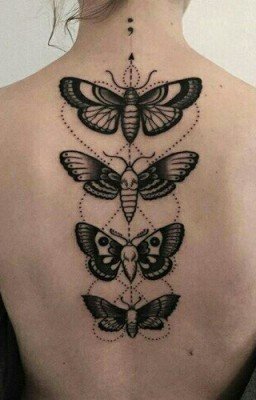 The Butterfly affects