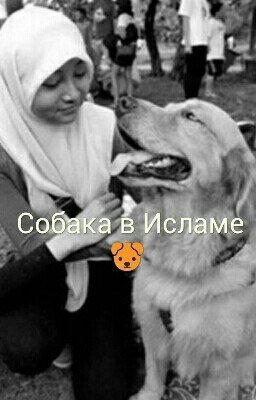 Собака в Исламе 