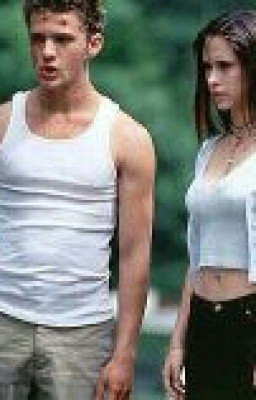 Военный лагерь или Спецкурс по выживанию