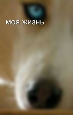 моя жизнь 