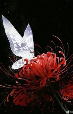 На забытых задворках памяти 