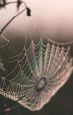 Заброшеное место