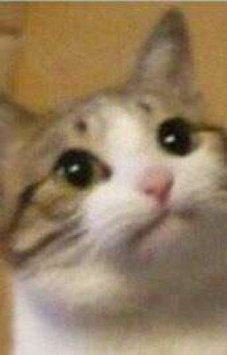 Стихи уебана 