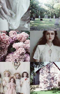 Рыбьи глаза