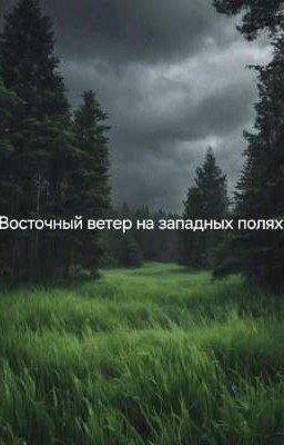 Восточный ветер на западных полях 