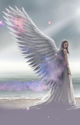 Вселенная за пределами разума. 