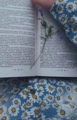 Стихотворения АлёныПутины#