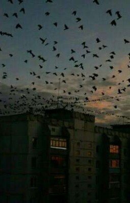 она и чимин