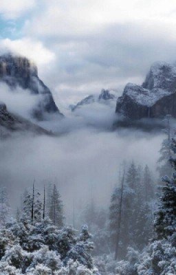 Наследники