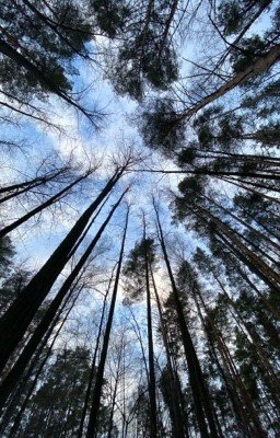 где тот заветный покой?