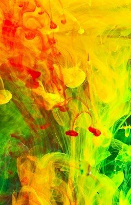 Жизнь, которую построили мысли