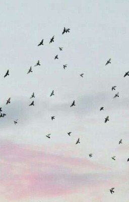 You hate me? #wattys2017