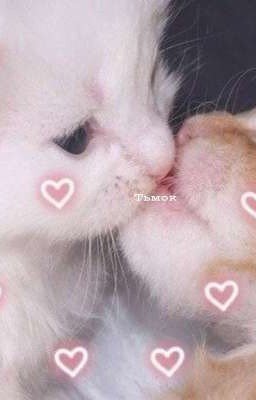 Черепашки ниндзя. 