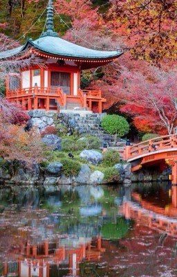 БЫТЬ БОГАТЫМ - ВАШЕ НЕОТЪЕМЛЕМОЕ ПРАВО