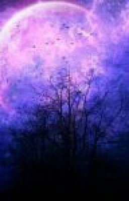 Алый Папоротник