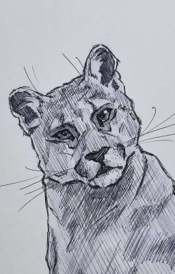 О хищнике и даре 