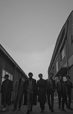 девушка и мафиози  