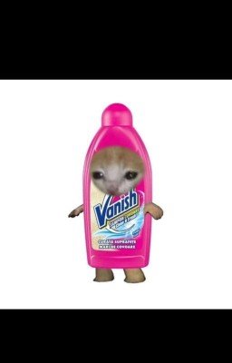 котëнок ваниш