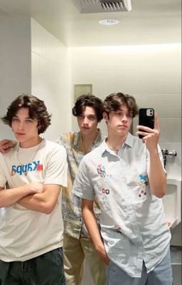 family♡︎ (Мэтт Стурниоло и т/и)