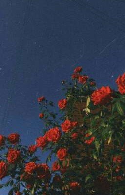 Отъебался СКОТТ. (Завершён)