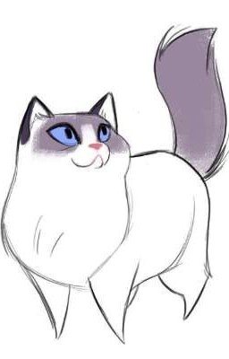 Ну,чтоль книга о богатстве Хлои