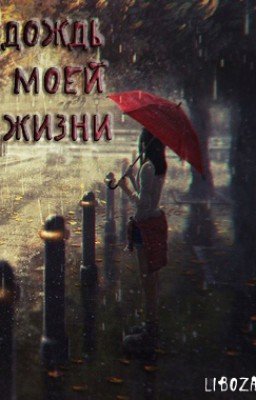 Дождь моей жизни