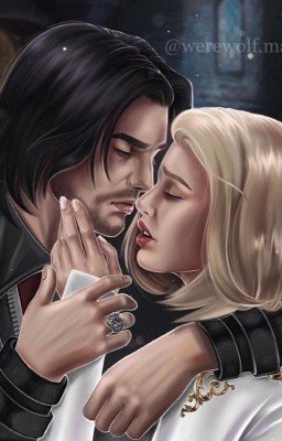 Мой сладкий яд 