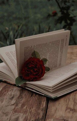 Вместе Навсегда