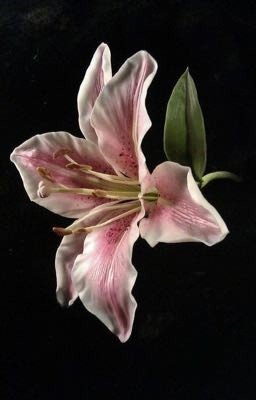 Keep my heart, please! 