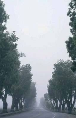 краткий рассказ о Петре первом  л.толстой