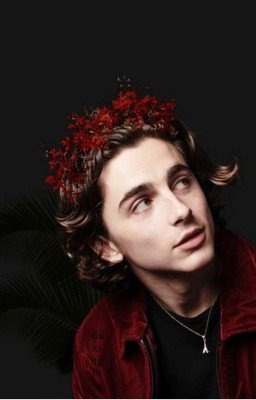 В Погоне За Счастьем 