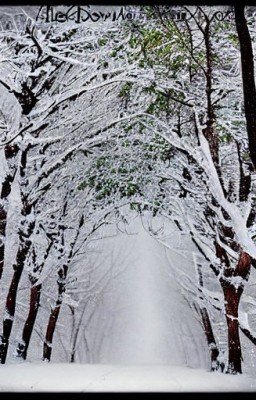 Я буду помнить.