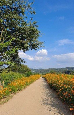 Арты. Часть 4