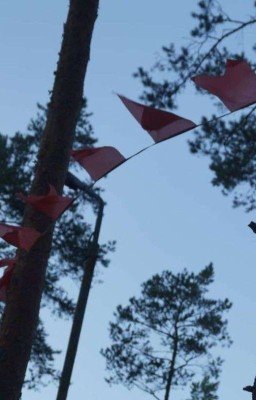 Ночью, в тёмном лесу, пионеры разжигали костёр