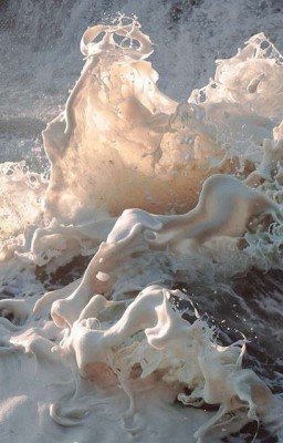 🌜⚔️🌟🦄👑ОТ НЕАВИСТИ ДО ЛЮБВИ👑🦄🌟⚔️🌛/ 18+ / ВАМПИРЫ / ОБОРОТНИ 