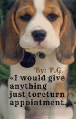 «Я бы все отдала, лишь бы вернуть ту встречу...»