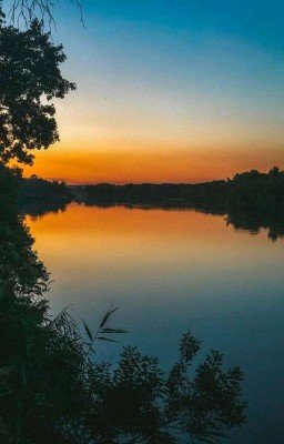 Даже Сирота Имеет Право На Счастье