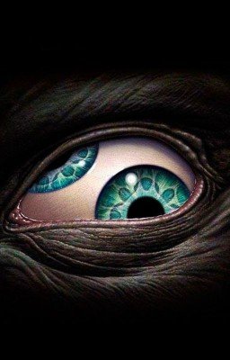 Дневник Аникуан. Начало пути.Книга Первая.