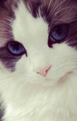 История о Девочке Оле Сироте.