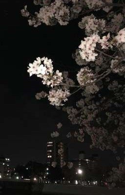 победитель забирает все.. 