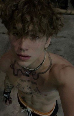 новая жизнь 🐾 [V.H.]