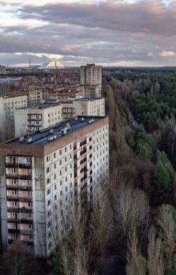 там где кипела жизнь 