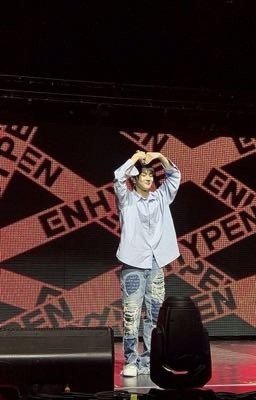 Жизнь мечты