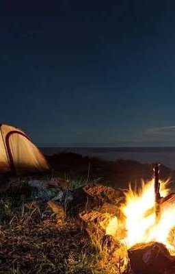 Лесной лагерь