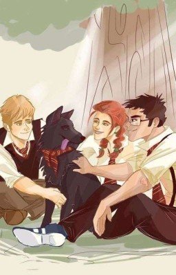 Новая история. Новая жизнь