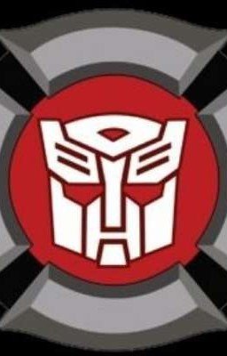 жизнь ботов спасателей и Т/и