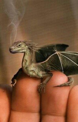 Жизнь Среди Драконов.