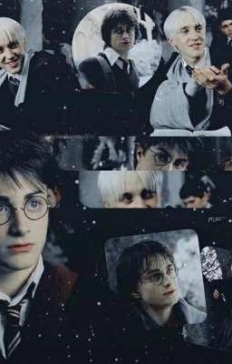 Новая жизнь Drarry♡