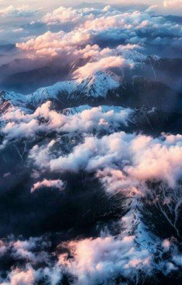 Я люблю тебя...