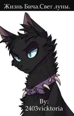 Жизнь Бича. Свет луны.